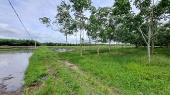 Hơn 6000m2 đất ngay khu dân cư, cách nhựa 70m. 1,8 tỷ 
