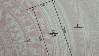 Chính chủ bán đất phân lô khu chất lượng cao thị trấn Phùng