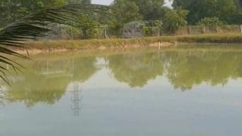 cho thuê lâu dài đất có sẳn ao tiện chăn nuôi kinh doanh dv 10.000m2