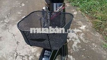 Cần bán honda nhật