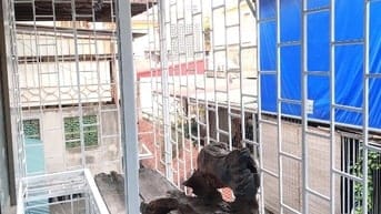 Chính chủ cho thuê căn hộ tầng 4, B5A Nam Thành Công, Láng Hạ, Đống Đa