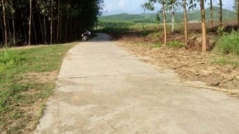 Cho thuê đất trống thích hợp làm trang trại vườn 