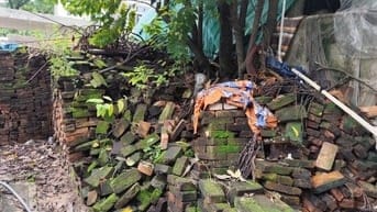 Cần bán gạch thẻ cổ trang trí thời pháp