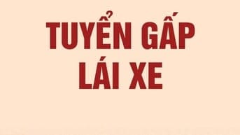 Tuyển Lái xe văn phòng, lái cho sếp, lương cao hấp dẫn