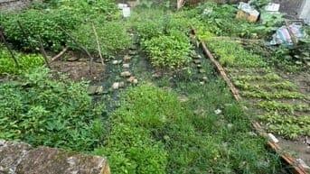 BÁN ĐẤT TÂY MỖ 50M NGÕ NÔNG Ô TÔ ĐỖ CỬA LÔ CUỐI 120TR/M2