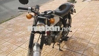 67 xe đang chạy