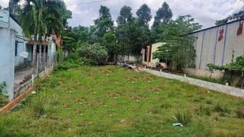 Chủ ngộp ngân hàng bán gấp lô 282m2, Tân An Hội, Củ CHi, SHR, 2,32 tỷ.