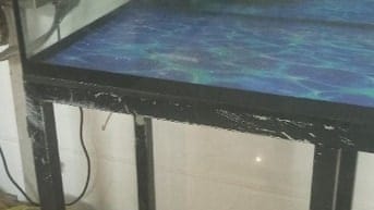 Hồ cá cảnh  đã qua sử dụng còn đẹp