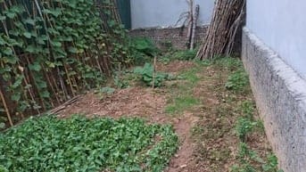 Bán đất thổ cư tại Do Nha, Tây Mỗ, Xuân Phương, diện tích 84m, mt 4,8m