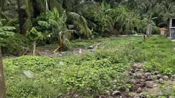 bán 367,2m2 thổ tặng thêm 30m2 cln ở xã Trung Hòa - huyện Chợ Gạo - Ti