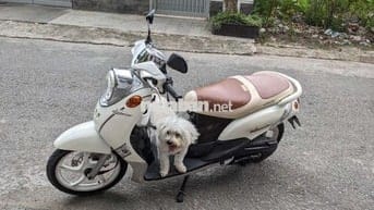 Mio classico 2012