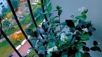Bán nhà chung cư Gelaxia 885 Tam Trinh