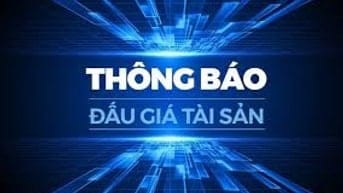 CÔNG TY ĐẤU GIÁ HỢP DANH DẦU KHÍ VIỆT NAM  THÔNG BÁO BÁN ĐẤU GIÁ