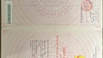 Bán rẻ nhà đường số 3 phường cát lái, thành phố hồ chí minh giá rẻ