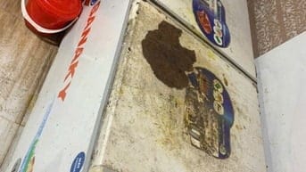 Thanh lý gấp tủ đông Sanaky 280l và tủ làm mát sanaky.