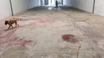 Cg CHO THUÊ KHO XƯỞNG GẦN METRO PHƯỜNG TÂN THỚI HIỆP Q12