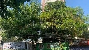 CHO THUÊ NHÀ MẶT TIỀN MAI VĂN VĨNH, QUẬN 7