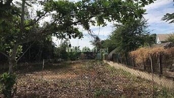 BÁN 2 LÔ ĐẤT LIỀN KỀ MT HÀ QUANG VÓC, BÌNH KHÁNH, CẦN GIỜ, 13,5TR/M2 7