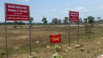 Công ty đấu giá hợp danh Sao Việt 