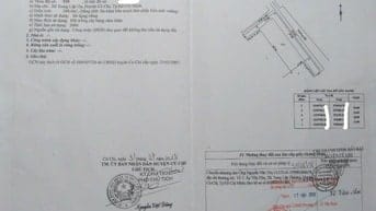 HÀNG NGỘP NÈ ANH CHỊ ƠIII, CĂN NHÀ VƯỜN Ở CỦ CHI GIÁ 1 TỶ 250 TRIỆU, 3