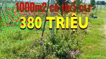 1000m2 có thổ cư 380tr, còn lại trả dần, chỉ có tại Long An