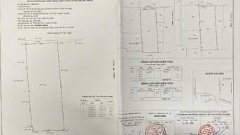 Bán đất Thới Tam Thôn Hóc Môn 