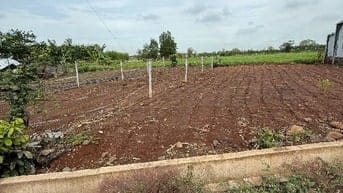 Bán Đất tại Xã Bình Trung, Châu Đức, Bà Rịa Vũng Tàu, 1,55tỷ, 147,8 m.
