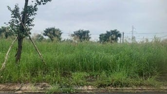 Chính chủ bán gấp nền Long Hậu Sài Gòn Village chỉ 2 ty2 SHR 80m2