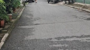 .TT. Trâu Quỳ, Gia Lâm, Hà Nội 81,2m² (2 mặt đường ô tô, ngay cổng phụ