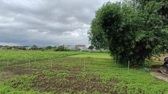 Bán đất hẻm Nguyễn Khuyến, phường Thắng Lợi,0988865312 TÍN