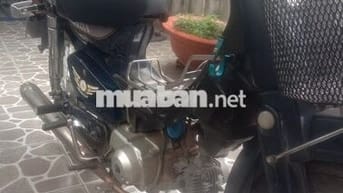 Xe cub 82 nhật