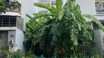 Bán Đất 7x17.5 Khu Bên Sông, đường số 25, Hiệp Bình Chánh, Giá rẻ