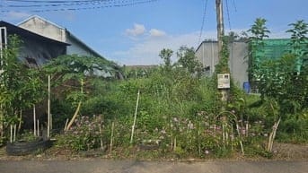 Lô đất thổ xây trọ 340m2 Sổ riêng (ODT) gần KCN Trảng Bàng, 650 triệu