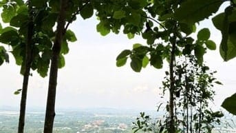 Bán đất view suối đẹp tuyệt tại Định Quán Đồng Nai 850tr/1000m2