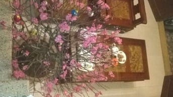 Nhượng lại bộ bàn nghế Xuân mai Phúc hỷ