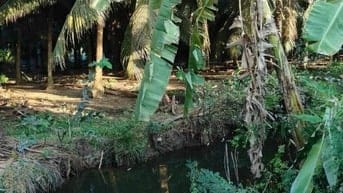 Bán rẻ 1670m2 đất CLN ấp Trung Hòa - Xã Trung Hòa - Huyện Chợ Gạo