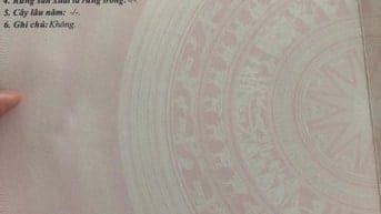 Bán đất dự án khu dân Tân Kim mở rộng