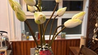 bán nhà ngõ phố Đặng văn ngữ- p Nam Đồng