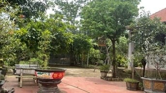 Bán nhà vườn đầy đủ tiện nghi chỉ việc xách vali về ở.