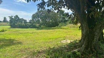 Bán đất sổ đỏ chính chủ sang tay ngay tại Xã Thanh Mỹ, Sơn Tây, Hà Nội