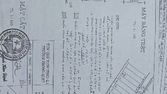 Chính chủ cần bán nhà HXH 4,5m 215L Nguyễn Trãi, Nguyễn Cư Trinh, Q1