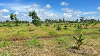 Bán Đất Thổ Vườn Đẹp Giá Rẻ Tại Tiền Giang Chỉ 585tr Có ngay 563m2