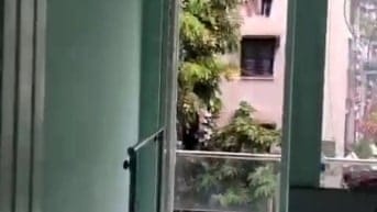Đường Đội Cung, Phường 9,Q11 💥 PHÒNG BAN CÔNG 3 triệu