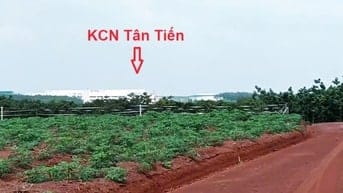 ĐẤT SÀO NGAY KCN Tân Tiến giá siêu hời 550 triệu,  1000m2
