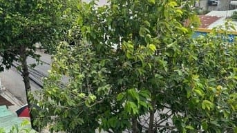 Phòng trọ ktx Biên Hoà chỉ từ 20k/ngày