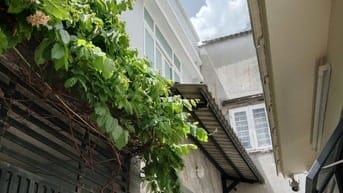 Bán nhà đường Phạm Văn Bạch, p 15, quận Tân Bình