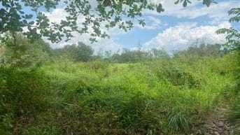 CHÍNH CHỦ GỬI BÁN LÔ ĐẤT LỚN HIẾM CÓ TẠI LONG PHƯỚC - THỦ ĐỨC (QUẬN 