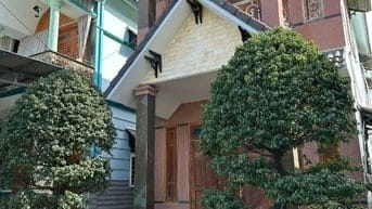 CẦN BÁN GẤP CẶP CHẬU CÂY SẢNH 