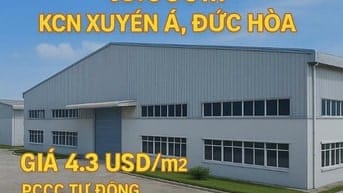 Cho thuê kho xưởng 13.000m2, KCN Xuyên Á, Đức Hòa (Long An – Tây Ninh)