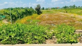 Bán 1067m² đất đường ôtô tại xã Tân Qúy Tây, Bình Chánh, HCM